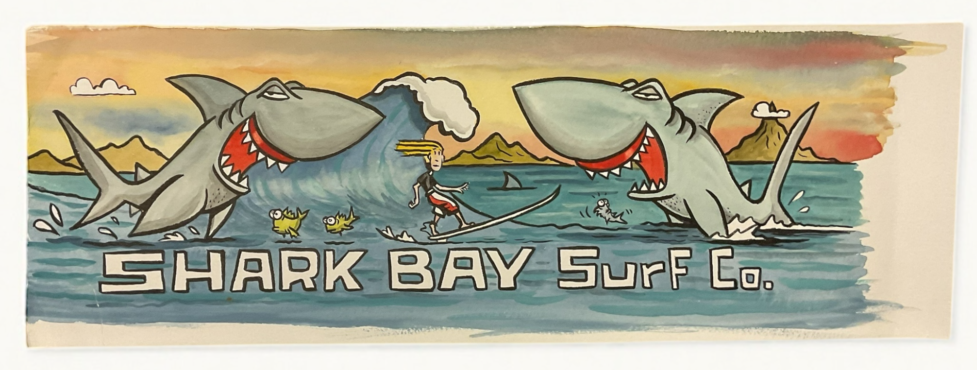Shark Bay Surf Co. Original Drawing